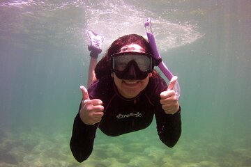 Guided Snorkel Experience in Fort Lauderdale