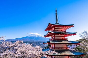 1 Day Tour Mt Fuji,Lake Kawaguchiko,hakone English Speaking Guide