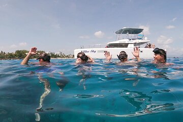 Amber Cove & Taino Bay Shore Excursion, Private Charter on Blue Sky Catamaran