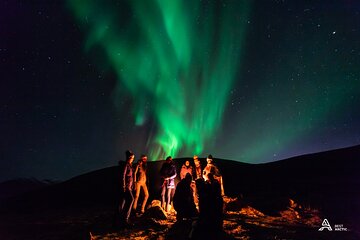 Northern Lights Small-Group Tour from Tromso, Including Photography Tips