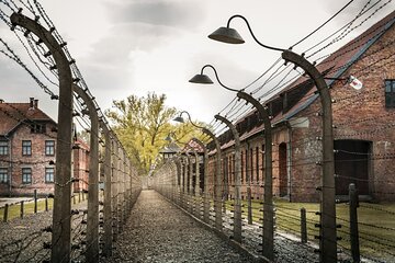 Private Tour to Auschwitz from Prague