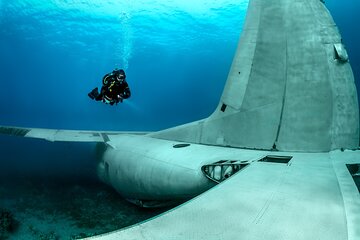 Private Diving Lesson in Aqaba: Be a Certified Diver