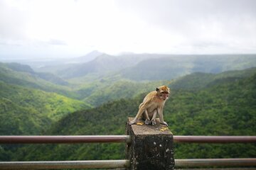 Mauritius Guided South Tour "Private"