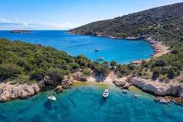 Private Half Day Boat Trip to Plavnik Island