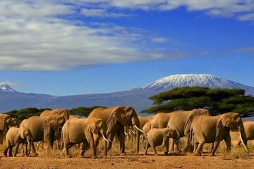 Private 3 Days 2 Nights Amboseli National Park Tour