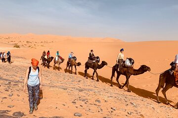 Camels Ride and Camping at Moroccan Sahara Desert