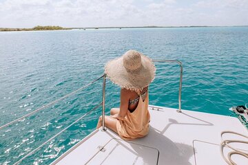 Exploring the Wonders of White Island and Ras Mohammed 