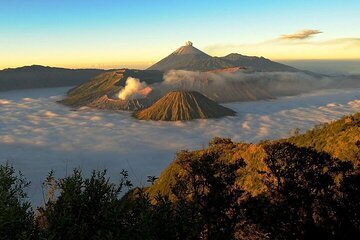 Surabaya-Bromo-Tumpaksewu Waterfall-Ijen-Bali. All Entrance Incl.