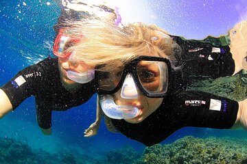 Tiran Island Snorkeling Experience by Yacht Sharm El Sheikh