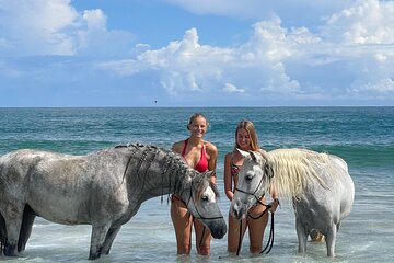 7-Day Yoga In Harmony with Horses Private Guided Activity