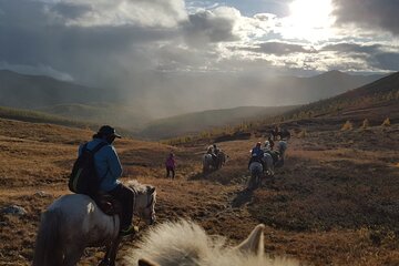 5 Day experience how to ride a horse , Real Mongolian experience