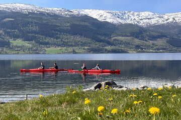 Sea Kayaking Rental