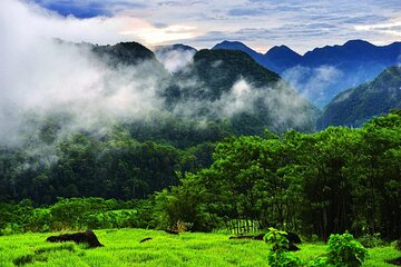 PU LUONG Nature Reserve and NINH BINH - 3 Days/2Nights Group Tour