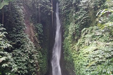 Private Tour from Leke-Leke Waterfall to Jatiluwih Rice Terrace