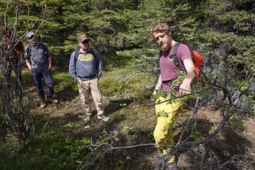 4 Hour Wilderness Wonders Tour in Denali