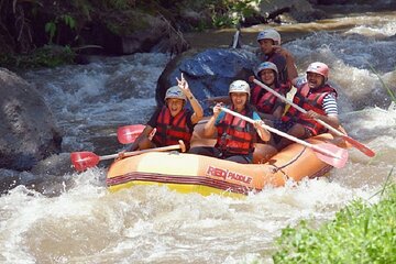 From Ubud : White Water Rafting at Ayung River