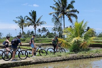 From Ubud Electric Bike Bali Countryside Ubud tegalalang