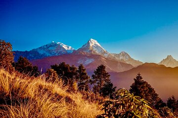5-Day Private Annapurna Panorama Trek Adventure in Pokhara