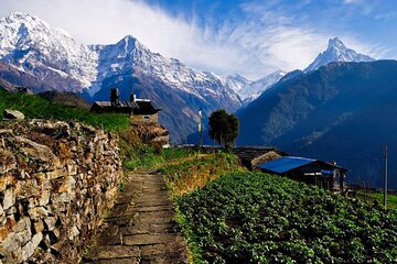 3 Days Panchase Hill Trek with Guide in Pokhara