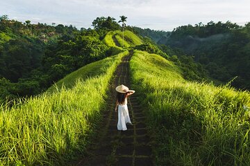 Ubud Countryside Tour: Campuhan Ridge Walk and Rice Terrace