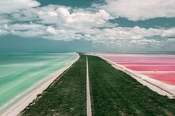 Full Day Tour to Coloradas & Rio Lagartos