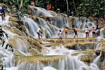 6 Hour Dunn's River Falls and Horseback Riding in Ocho Rios