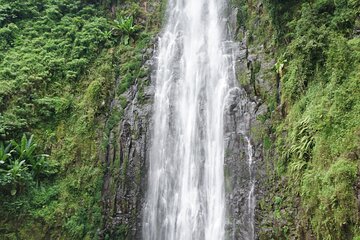 Day trip Materuni Waterfalls and Coffee Tour 