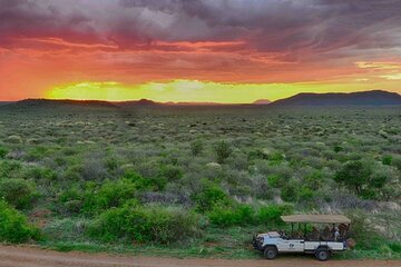 4-Day Family Safari, Madikwe Game Reserve, Big Five