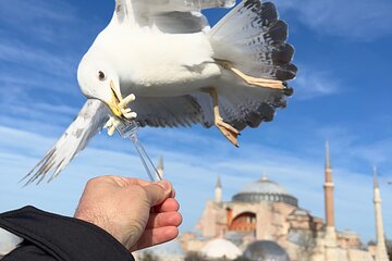 ISTANBUL BEST : Iconic Landmarks FullDay Private Guided City Tour