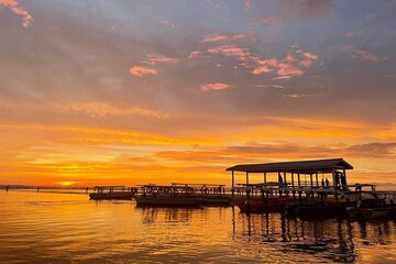 Full Day Bongawan River Cruise with Proboscis Monkey Sightseeing