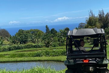  Waipi’o on Horseback: Mountain to Ocean Working Cattle Ranch