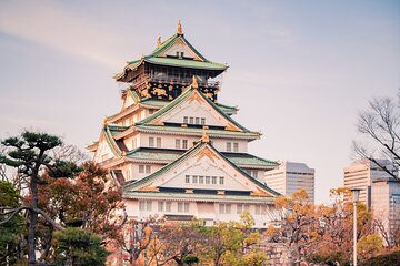 Perfect 4 Day Sightseeing in Japan - English Speaking Chauffeur