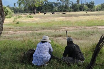 Zambezi National Park Walking Safari with Picnic Break Fast