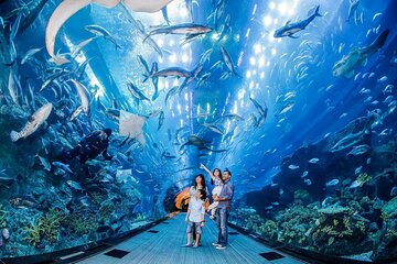 Dubai Aquarium and Underwater Zoo Ticket