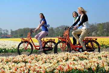 Keukenhof and Zaanse Schans: Windmills and Tulips Guided Day Tour