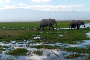 Private 2 Nights and 3 Days Amboseli Tour