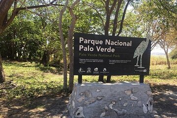 Full Day Private Tour of Palo Verde National Park