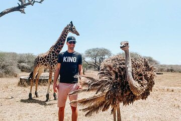 Nature Walk with Giraffes in Mombasa