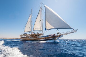 Full Day Boat Charter Rental in Sharm El Sheikh