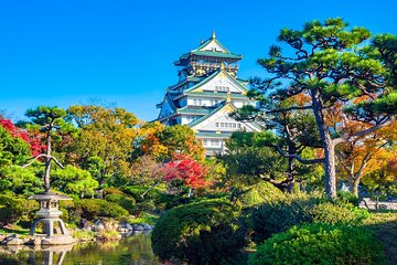 Full-Day Private Guided Tour in Osaka