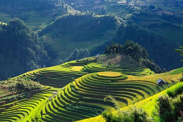 8-Days Hanoi, Sapa Trekking And Halong Bay Cruise