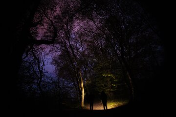 Night Tour in Hoia Baciu Forest