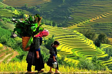 Sapa 3 Days 2 Nights Trekking Tour (1 Night In Ta Van Village, 1 Night In Hotel)