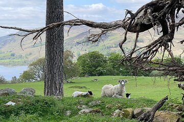 Culloden and Craigh na Dun Outlander Day Tours from Edinburgh