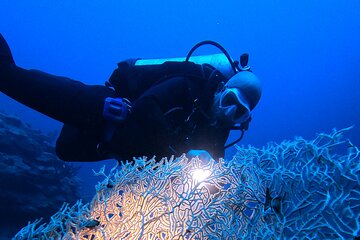 2 Hour Private Night Diving in the Red Sea of Aqaba