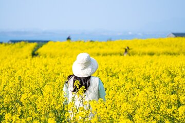 UNESCO Private Guided Culture and Nature Tour in JeJu Island