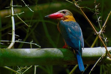 Nam Cat Tien National Park 2 Days 1 Night - Private Tour