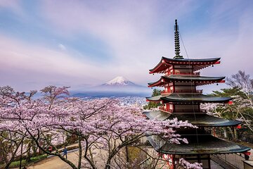 Mount Fuji & Hokane Lakes with English-speaking Guide