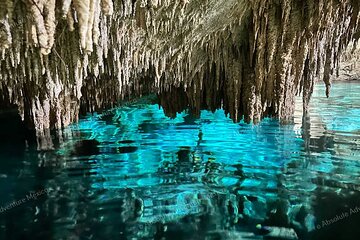 VIP 2 Cenotes Tour Adventure with Private Guide