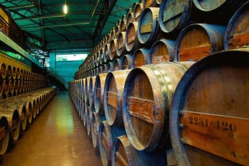 Small Group Full-Day Arrábida Wine Tour and Food Tasting
